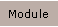 Module